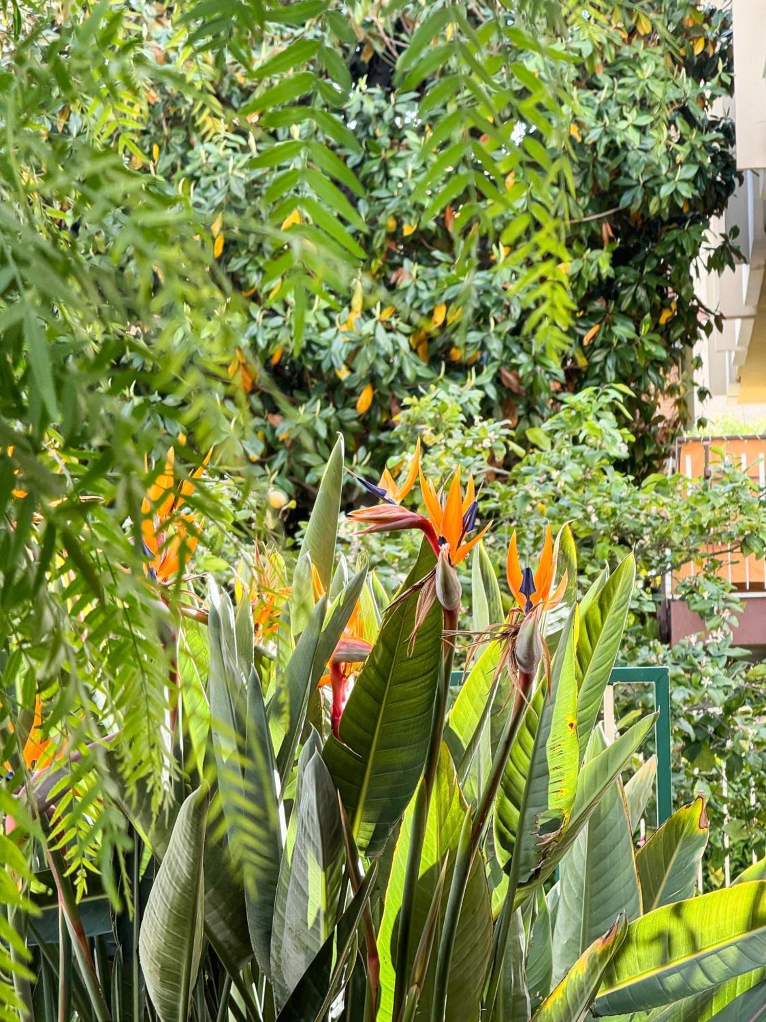 Casa Febo, In Centro Con Parcheggio Privato A 200 Mt Dal Mare Hotel Bordighera Bagian luar foto